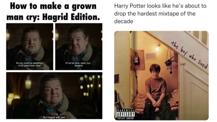 A meme with two panels: Left, Hagrid from Harry Potter looking emotional with captions about making adults cry over his role. Right, young Harry Potter on stairs, edited like a music album cover, captioned about dropping a hard mixtape.